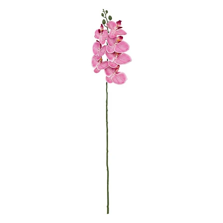 Gisèle Orchid Stem Assorted - Height 95 Centimeter