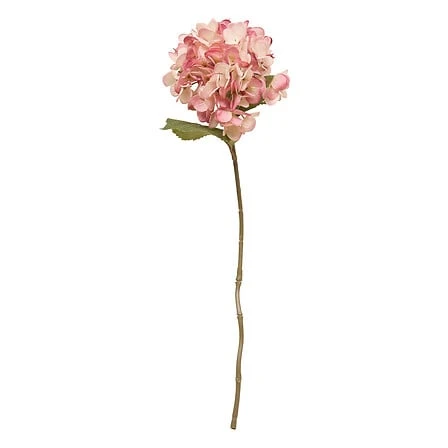 Hydrangea Stem Fria Assorted - Height 62 Centimeter