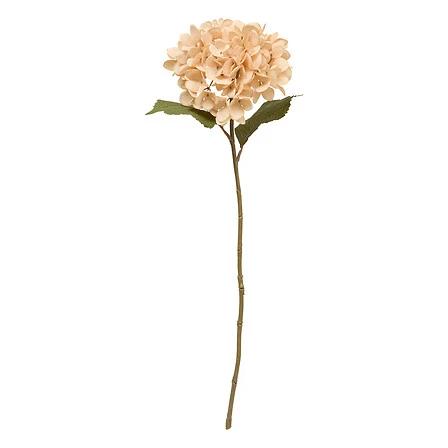 Hydrangea Stem Fria Assorted - Height 62 Centimeter