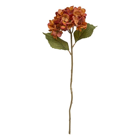 Hydrangea Stem Fria Assorted - Height 62 Centimeter
