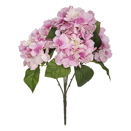 Bouquet of Hydrangeas Assorted Color - Height 42 Centimeter