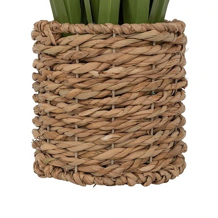 Zya Linen Bunch with Natural Fibres Pot - Height 91 Centimeter