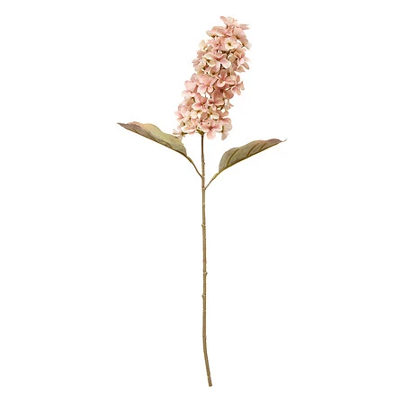 Hyacinth Stem Fria - Height 66 Centimeter Assorted