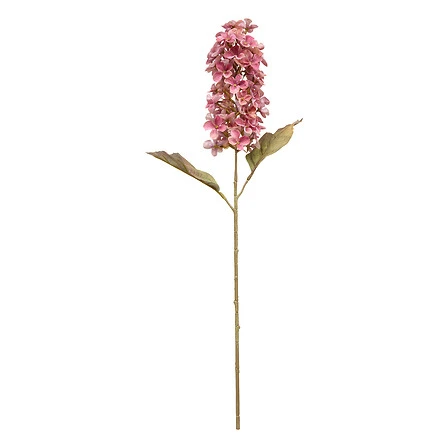 Hyacinth Stem Fria - Height 66 Centimeter Assorted