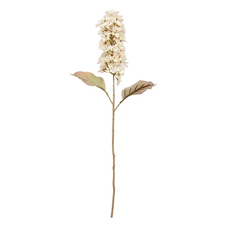 Hyacinth Stem Fria - Height 66 Centimeter Assorted