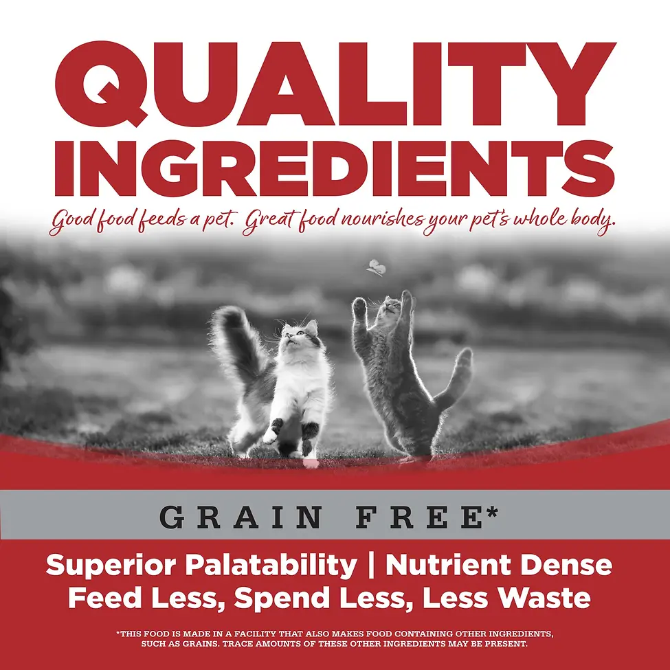 Limited Ingredient Chicken Entrée Grain-Free Canned Cat Food 5.5 oz