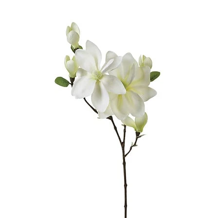 Magnolia Stem White - Height 83 Centimeter