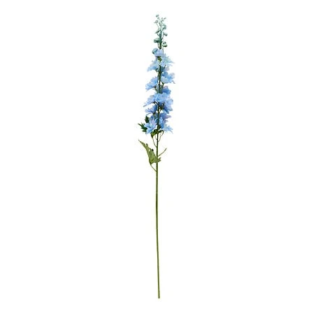 Delphinium Stem Phoebe Matching - Height 79 Centimeter