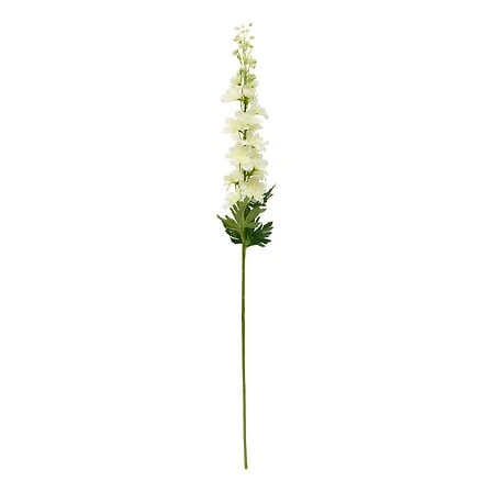 Delphinium Stem Phoebe Matching - Height 79 Centimeter