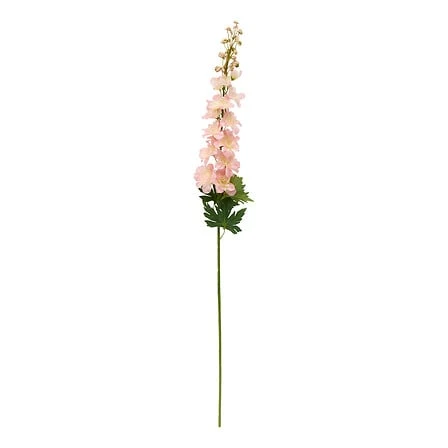 Delphinium Stem Phoebe Matching - Height 79 Centimeter