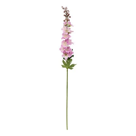 Delphinium Stem Phoebe Matching - Height 79 Centimeter
