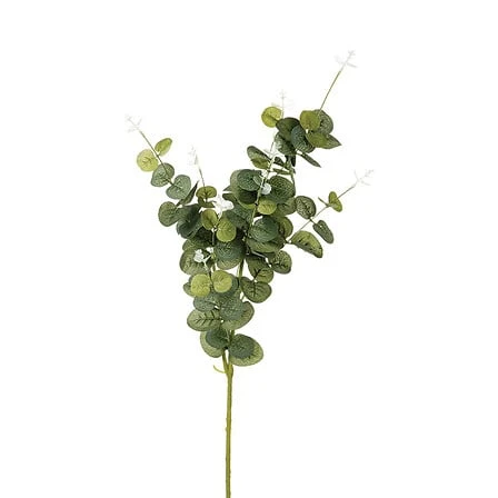 Eucalyptus Stem - Height 91 Centimeter