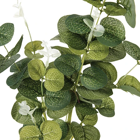 Eucalyptus Stem - Height 91 Centimeter