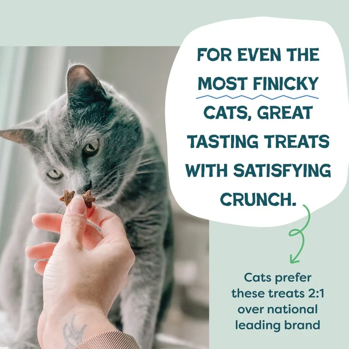 Catnip N Chill Chicken & Catnip Recipe Crunchy Cat Treats 2.5 oz