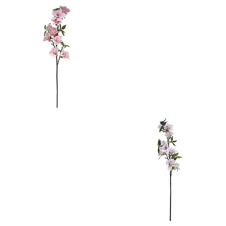 Azalea Decorative Plant - Height 92 Centimeter