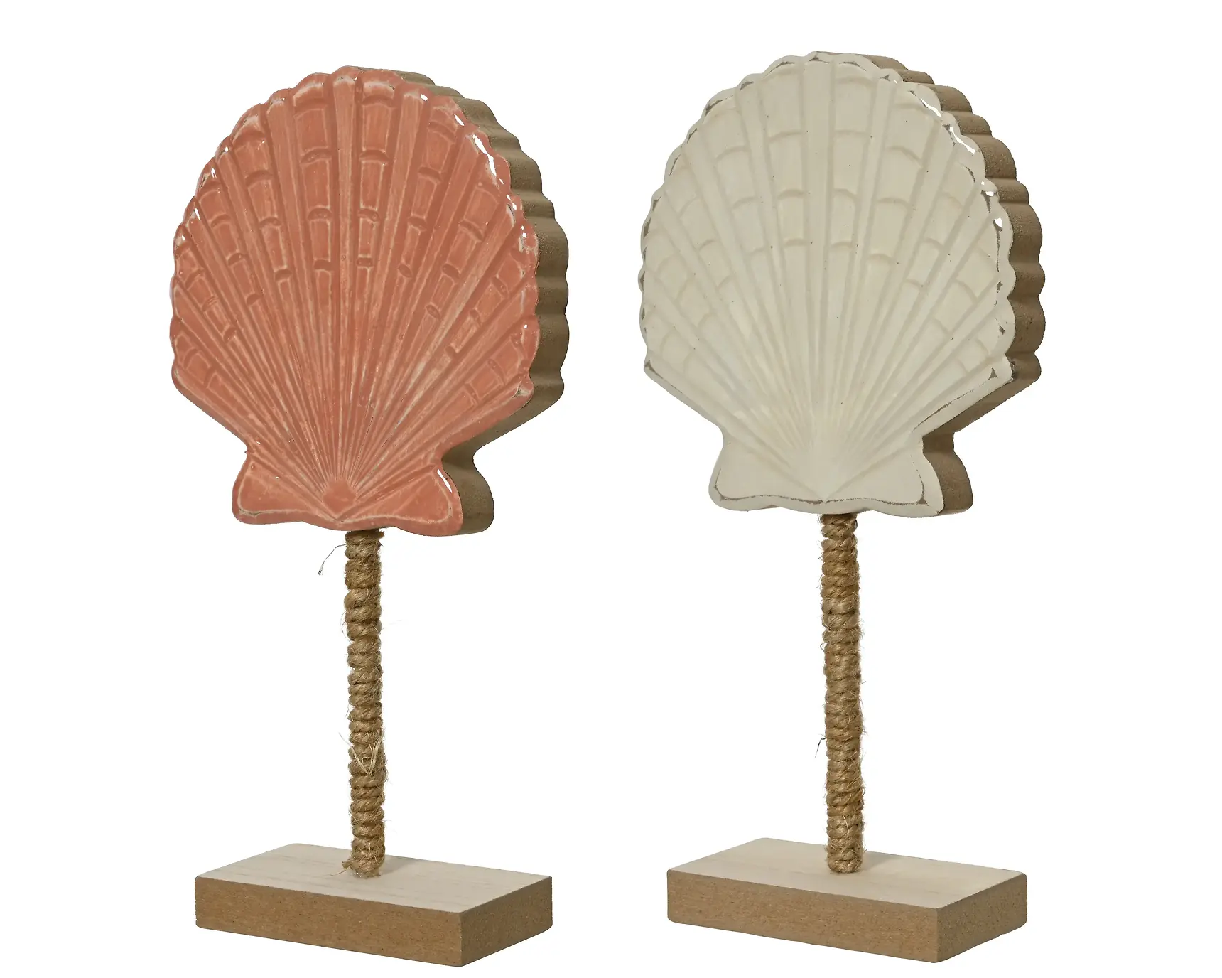 Decorative Shell – Assorted Colors