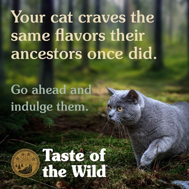 Canyon River Feline Recipe with Trout & Smoke-Flavored Salmon Dry Cat Food 5 lb