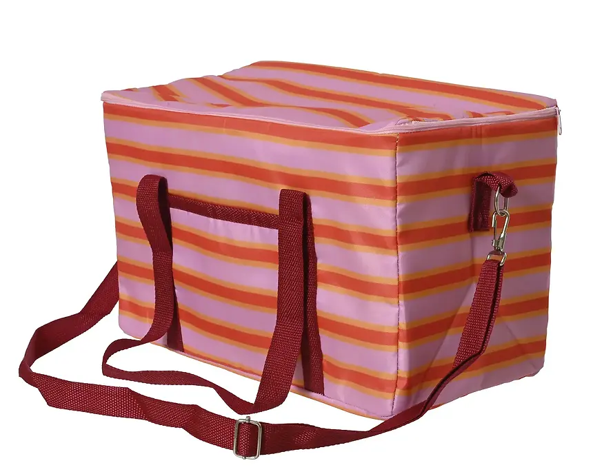 Cooler Bag