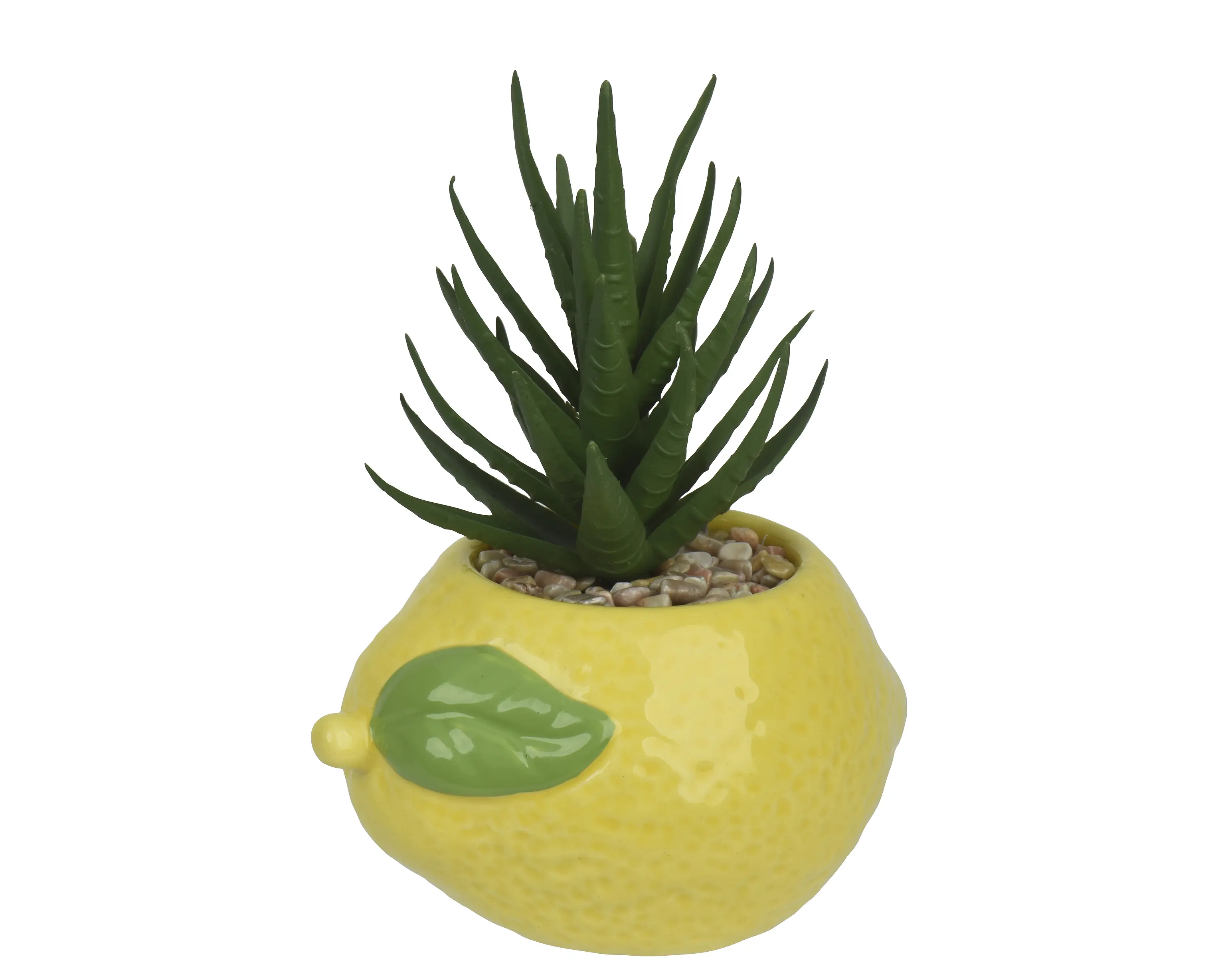 Succulent – Yellow And Green