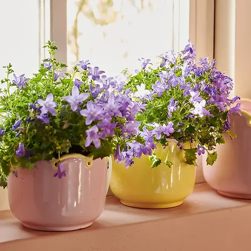 Planter – Stoneware