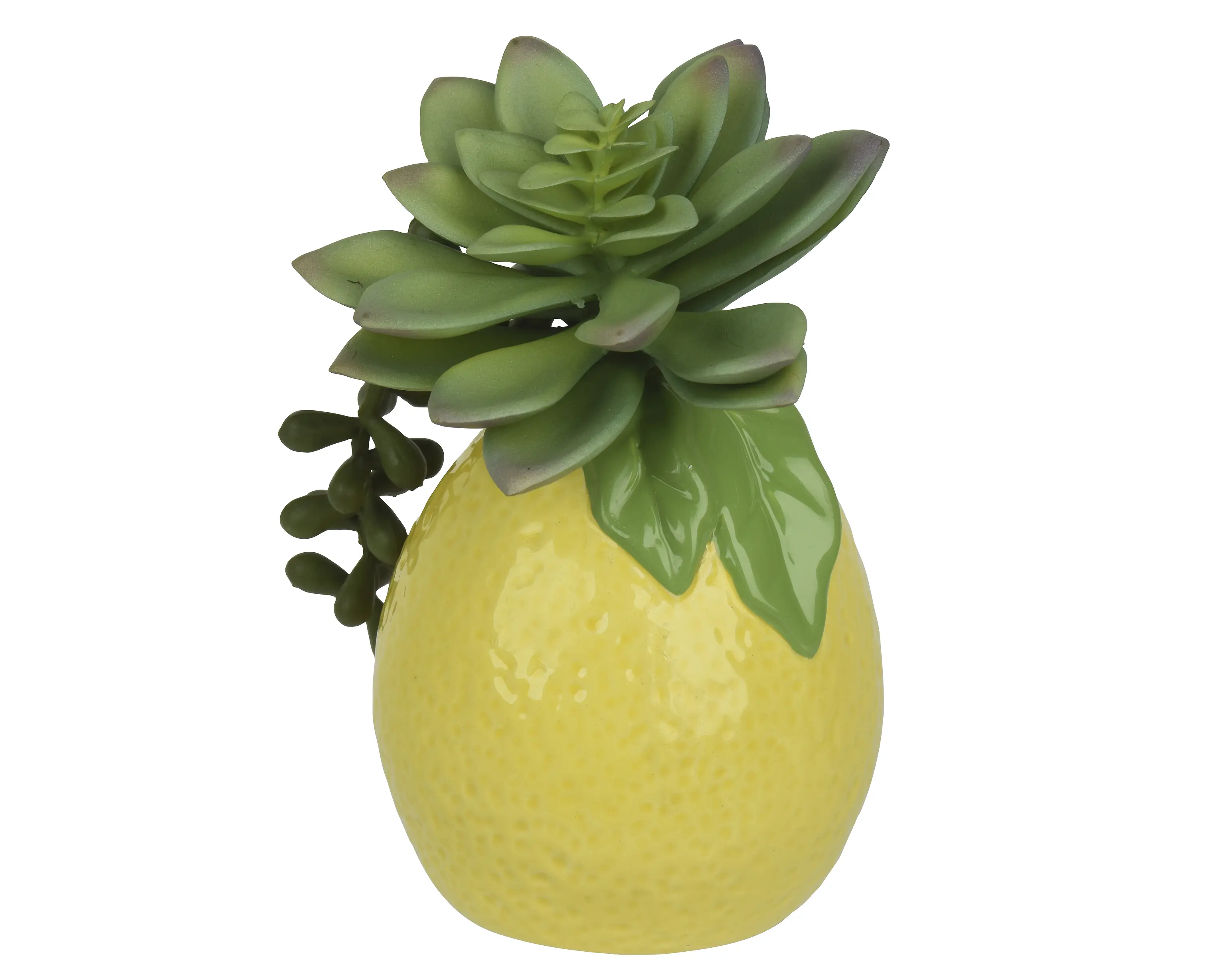 Plant Planter – Lemon Design