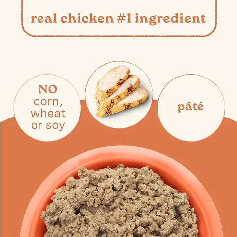 All Life Stages Chicken & Rice Recipe Canned Dog Food 13 oz