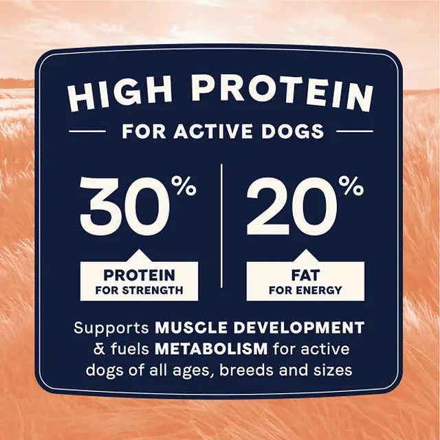 All Life Stages High Protein Multi-Protein Recipe Dry Dog Food 4 lb