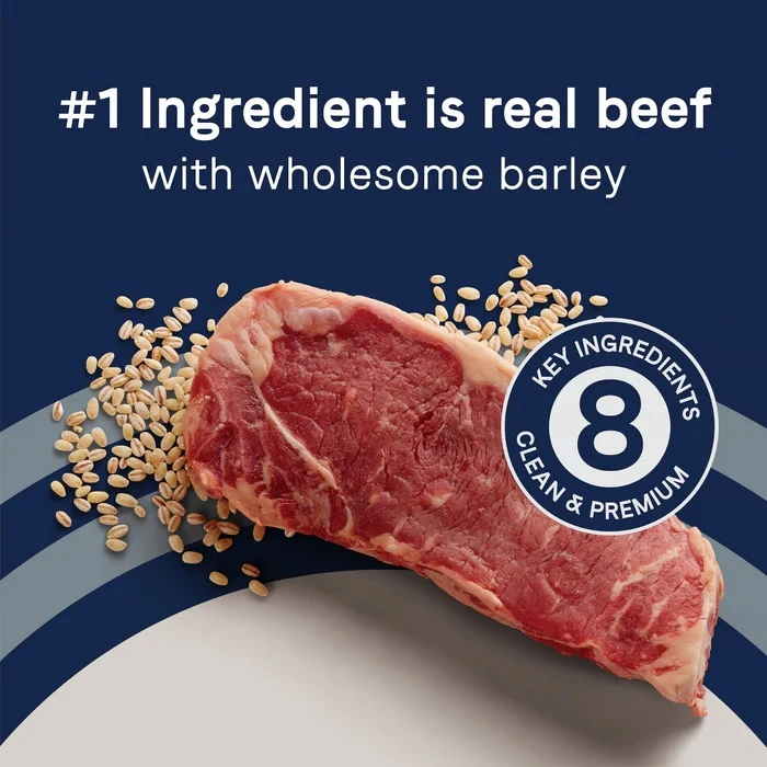 Pure Goodness Wholesome Grains Beef & Barley Recipe Dry Dog Food 4 lb