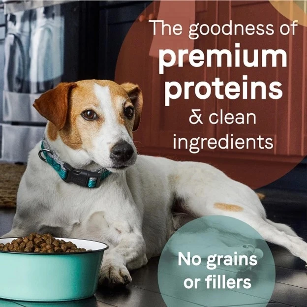 Pure Goodness Wholesome Grains Beef & Barley Recipe Dry Dog Food 4 lb
