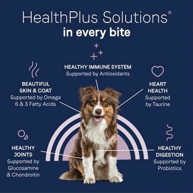 Pure Goodness Wholesome Grains Beef & Barley Recipe Dry Dog Food 4 lb