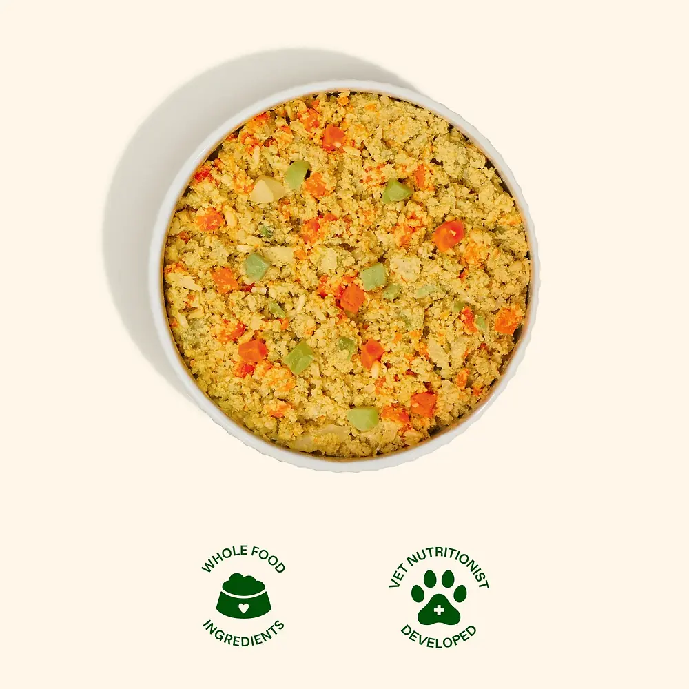 Chicken Recipe Gently Cooked Frozen Fresh Dog Food 8.82 oz