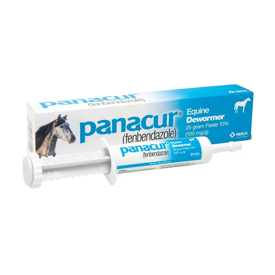 Panacur (fenbendazole) Paste 10% Equine Dewormer 25 gr