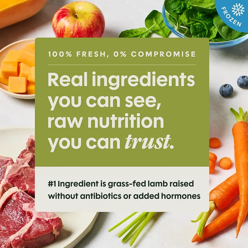 FreshRaw Meals Grass-Fed Lamb Recipe Frozen Dog Food 8 oz