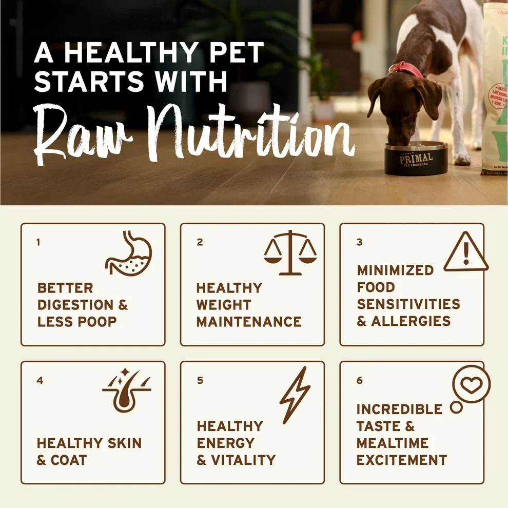 Nuggets Frozen Raw Beef Recipe Meal or Mixer for Dogs 3 lb