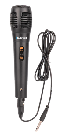 BLAUPUNKT PORTABLE RECHARGEABLE SPEAKER WITH MICROPHONE