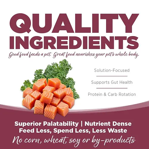 Limited Ingredient Salmon & Kale Entrée with Wholesome Grains Dry Dog Food 25 lb
