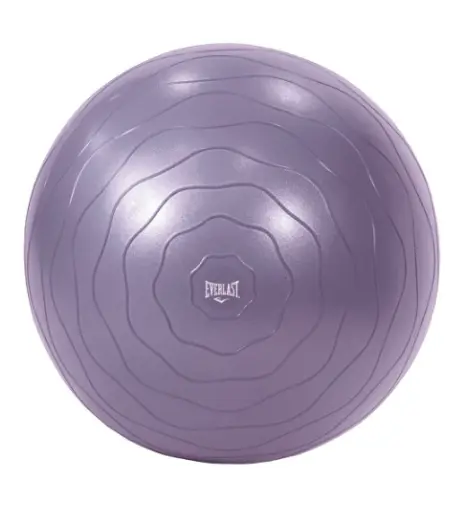 EVERLAST 75CM EXERCISE BALL