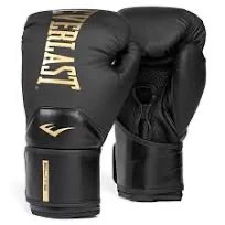 EVERLAST ELITE 2 BOXING GLOVE
