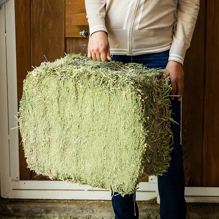 Premium Western Forage Certified Timothy Grass Compressed Bale 50 lb