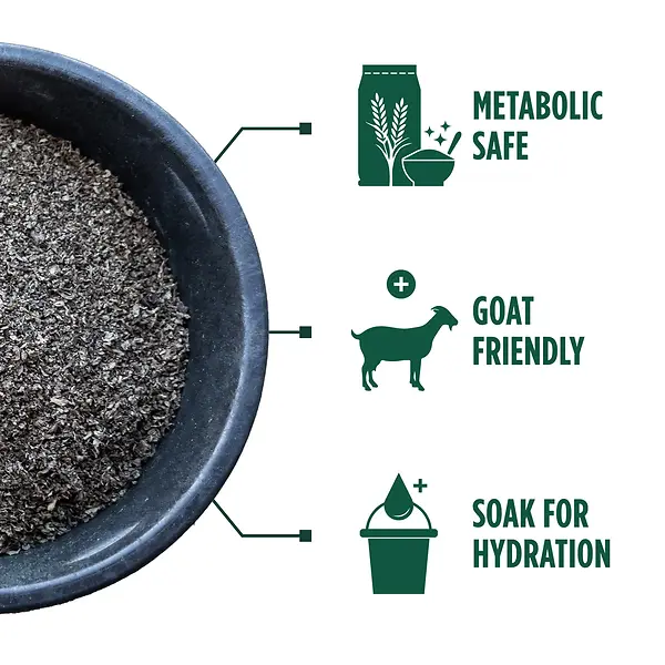 Smart Beet Shreds for Horses & Livestock 25 lb