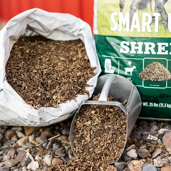 Smart Beet Shreds for Horses & Livestock 25 lb