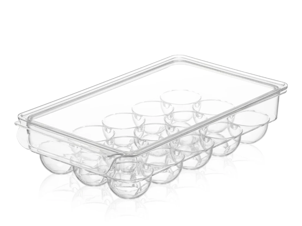 15 COMPARTMENT EGG ORGANIZER