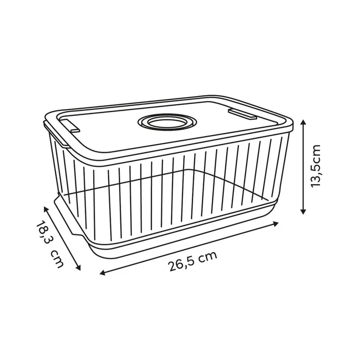 STREAKS REFRIGERATOR STORAGE BIN