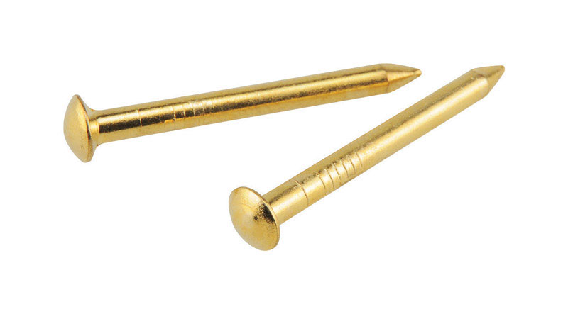 Hillman OOK Brass-Plated Hardwall Picture Hanging Nails 10 lb. 10 pk