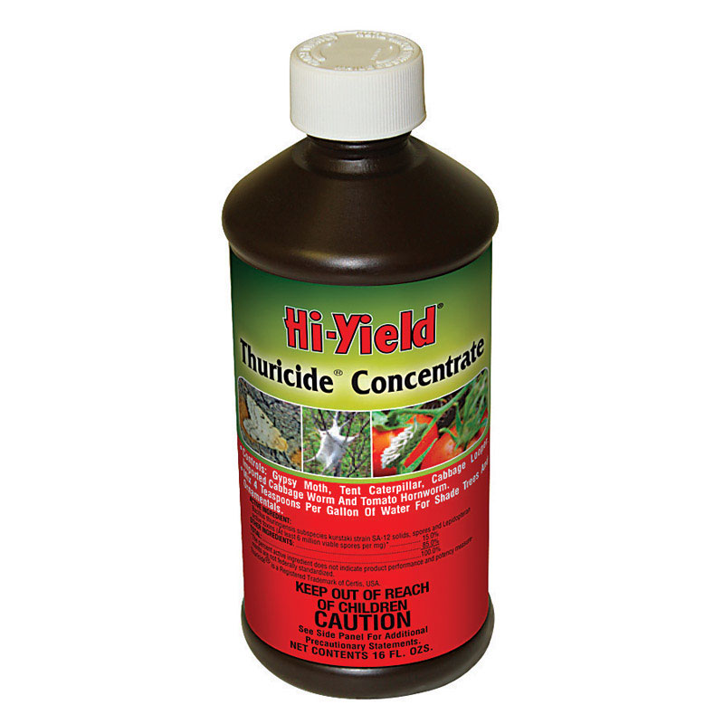 Ace Hi-Yield Thuricide Insect Killer 16 oz.