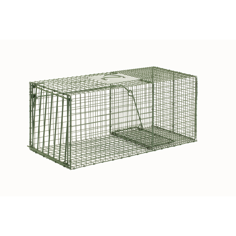 How To Set Up Animal Trap Cage - Catch Feral Cats, Raccoons