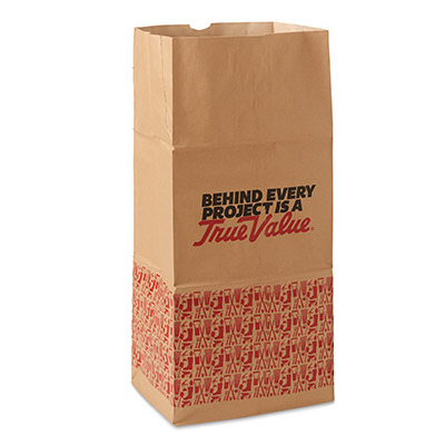 Agway Brown Paper Lawn & Leaf Bags, 5 pack