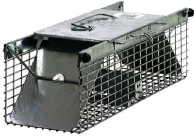 Havahart X-Small 2-Door Professional Live Animal Cage Trap for