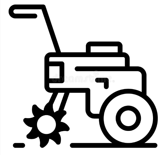 Lawn / Garden
