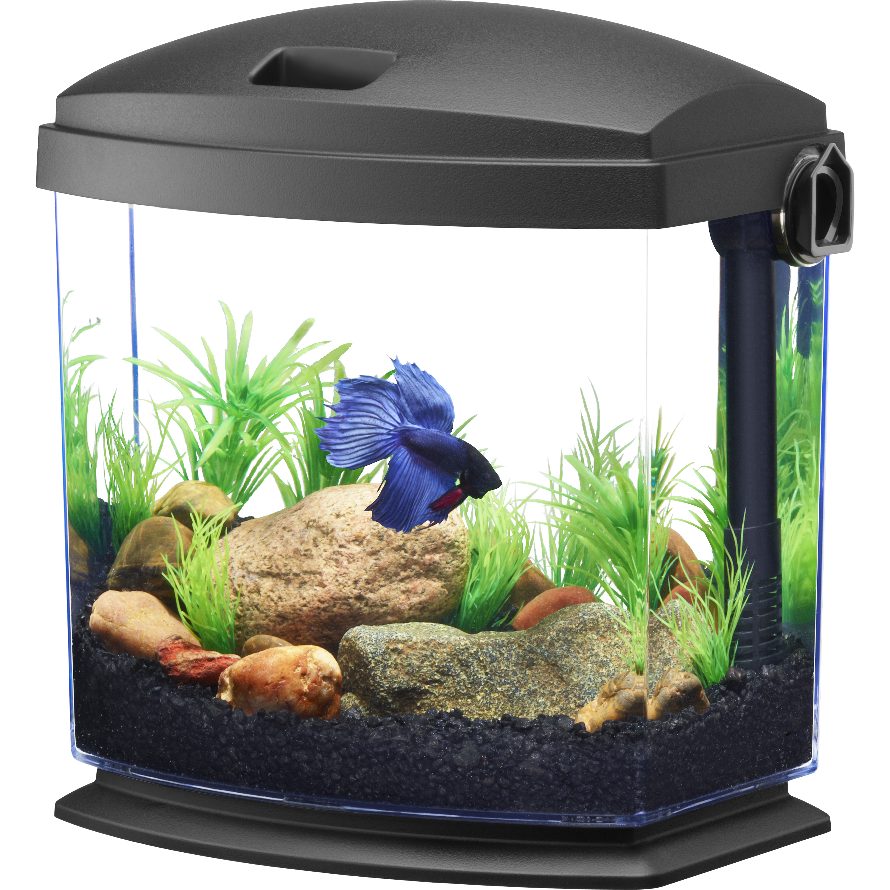 Aqueon BettaBow 1 Gallon Aquarium Kit with Quick Clean Technology